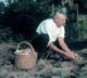 Karl Buchsbaum im Garten, um 1940